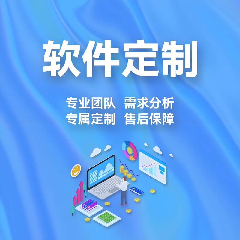 上海软件开发——构建数字化未来